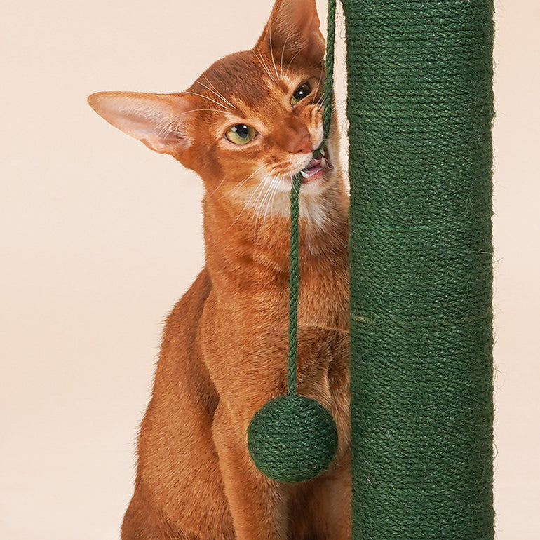 Cactus Cat Scratching Post