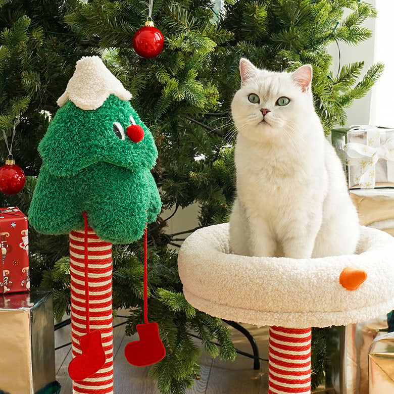 クリスマス杉猫の木