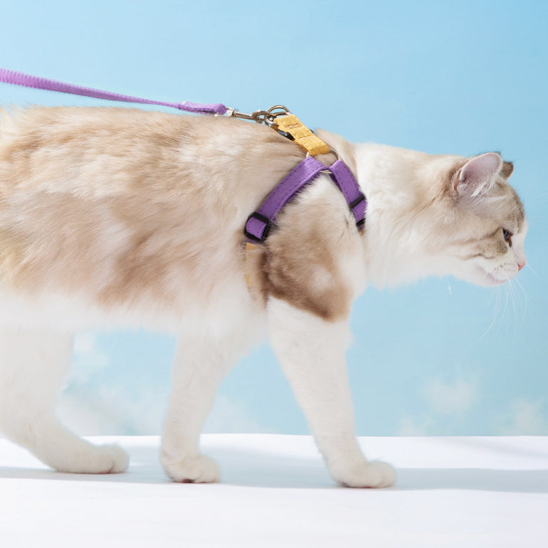 Cute Bow Tie Cat Harness