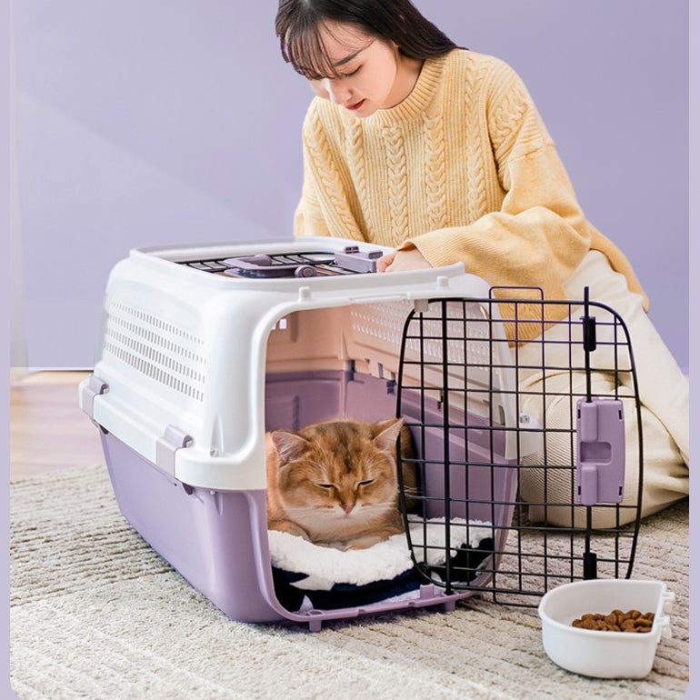 Airline-Approved Cat Carrier With Skylight