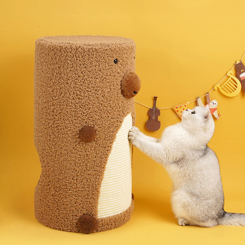 Cute Bear Cat Condo