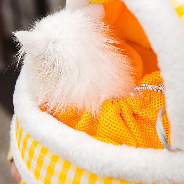 暖かいかわいいクマ猫キャリーバッグ
