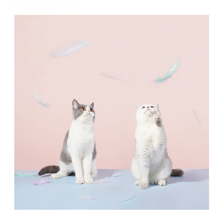 Unicorn Feather Cat Teaser Wand