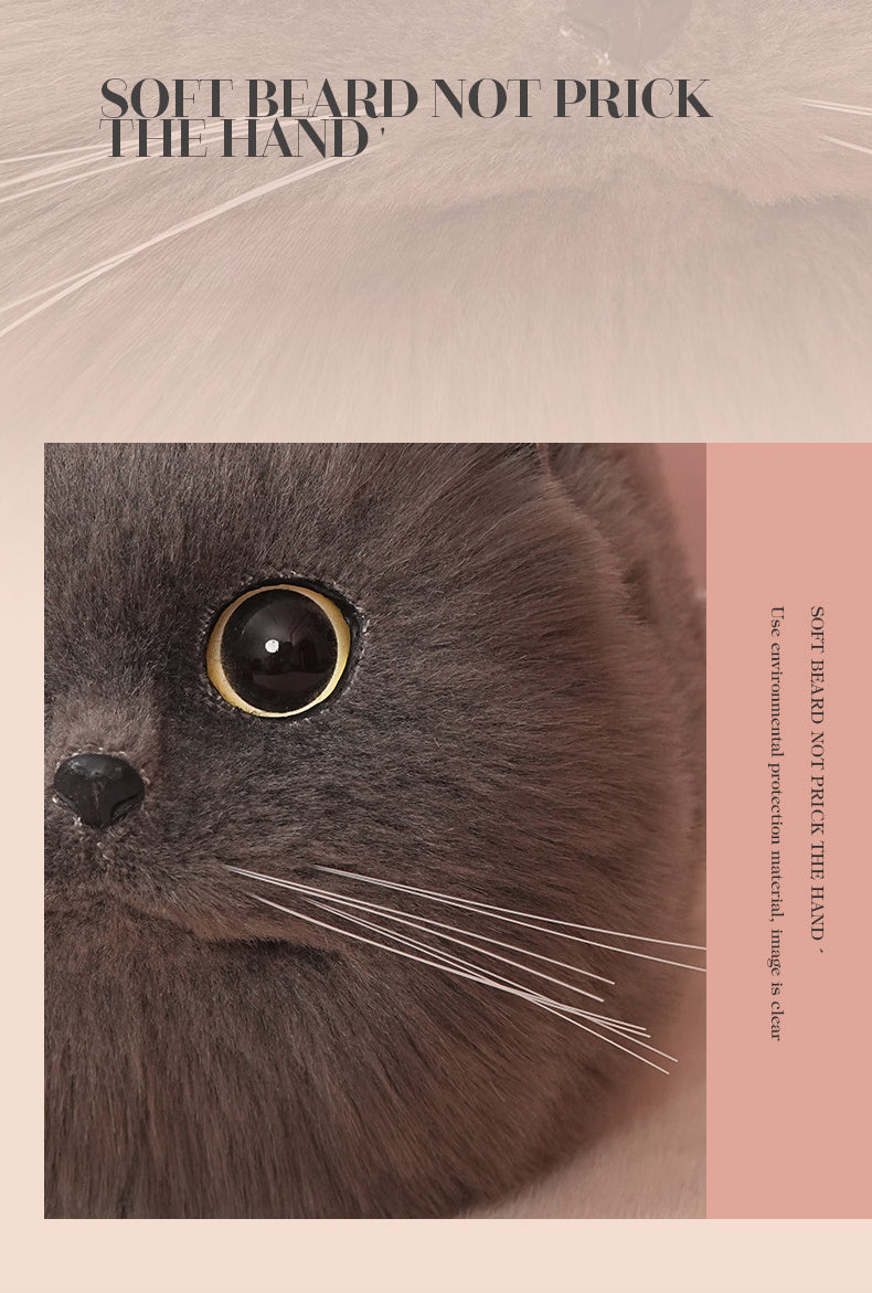 British Shorthair Cat Bag