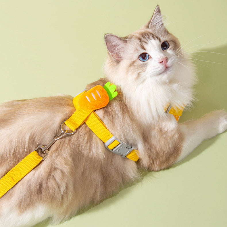 Cute Carrot Cat Harness