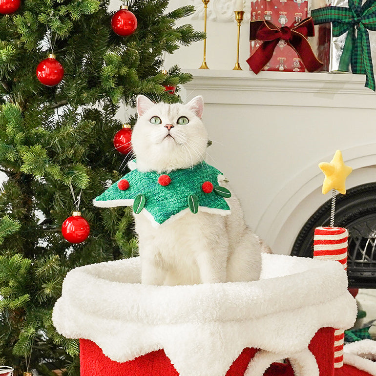 Christmas Elk Cat Cape & Mistletoe Cat Collar Set