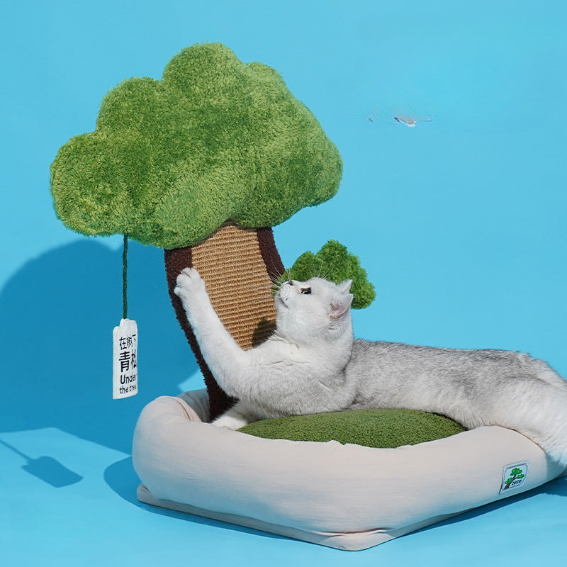 松の盆栽の猫ベッド