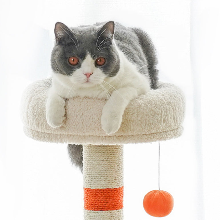 Cream Style Cat Tree