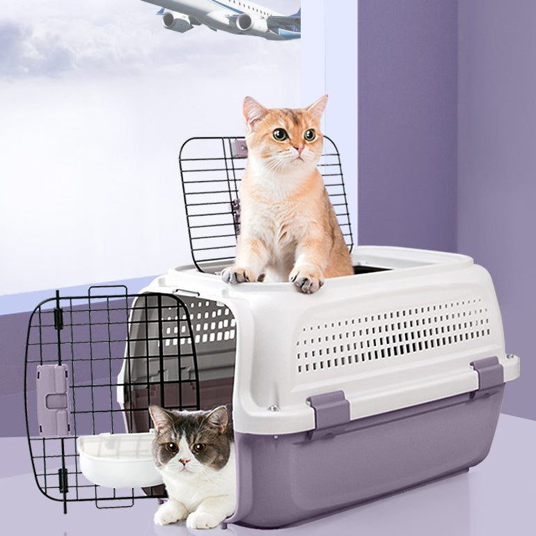 Airline-Approved Cat Carrier With Skylight