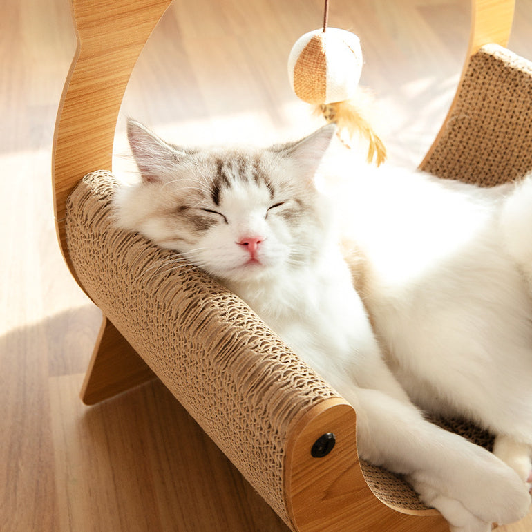 Wooden Cat Scratch Bed