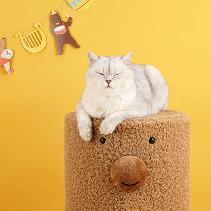 Cute Bear Cat Condo