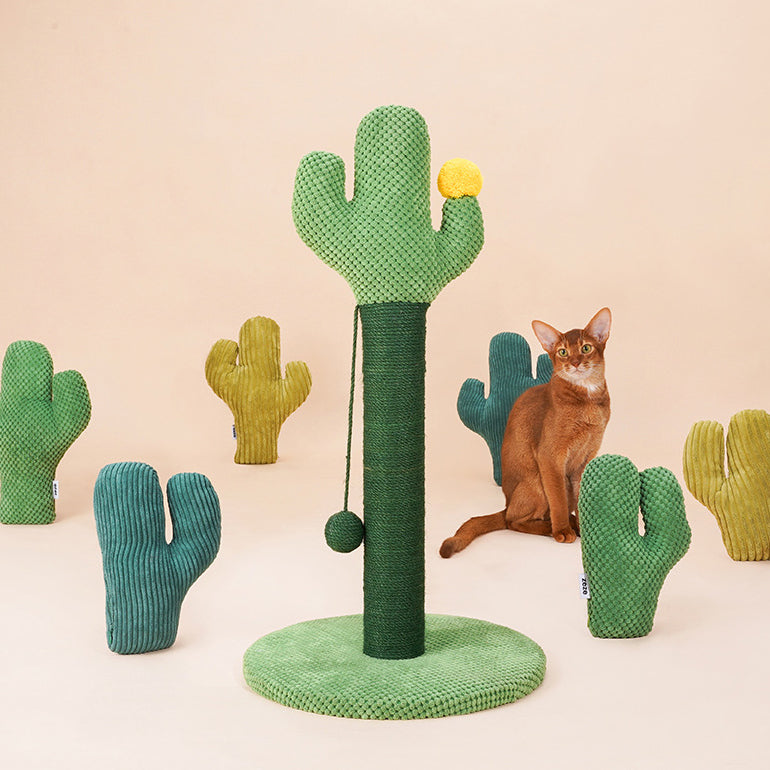 Cactus Cat Scratching Post