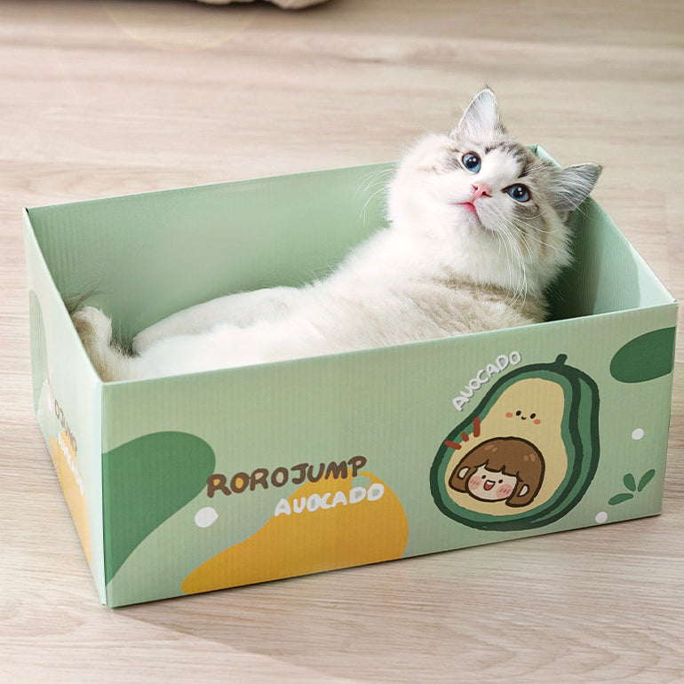 Cute Cat Scratch Box