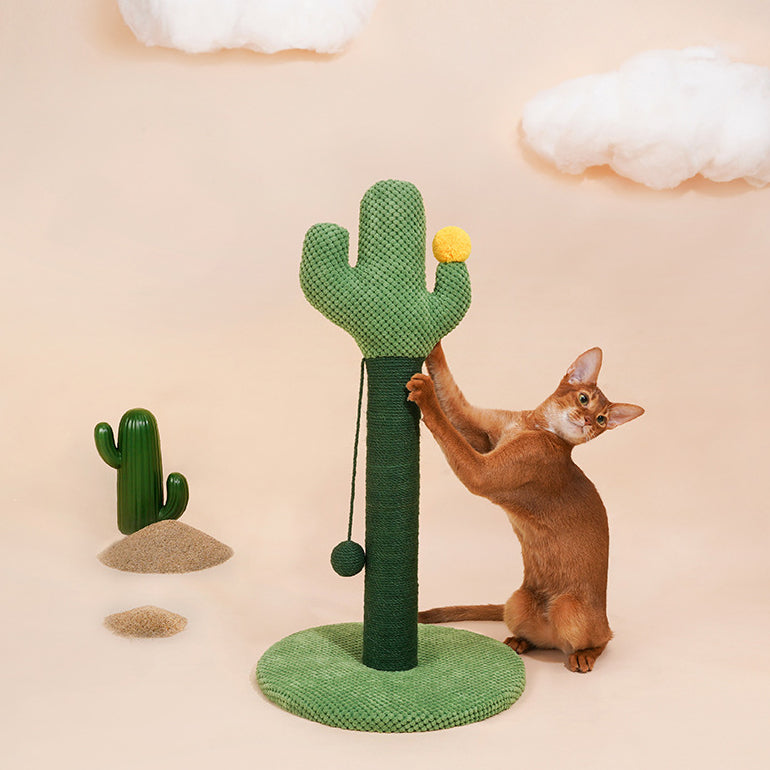 Cactus Cat Scratching Post