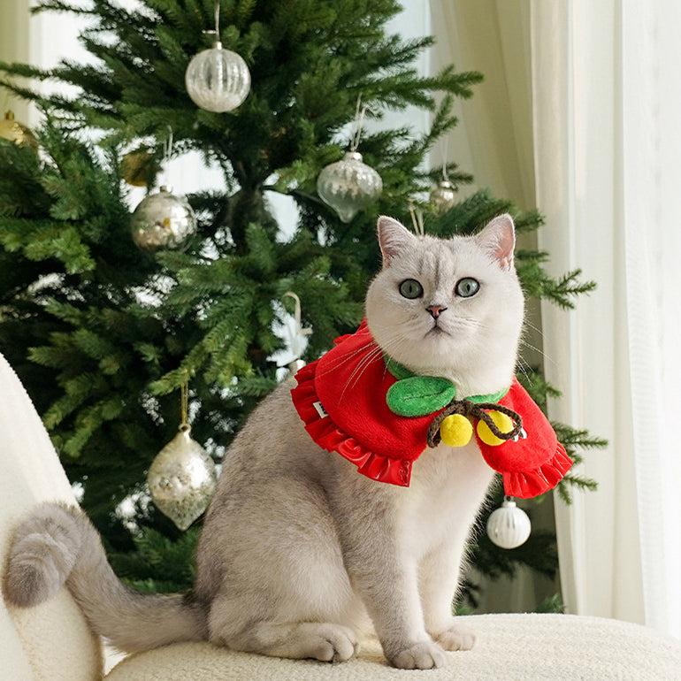 Christmas Apple Cat Collar