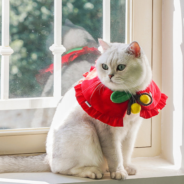 Christmas Apple Cat Collar