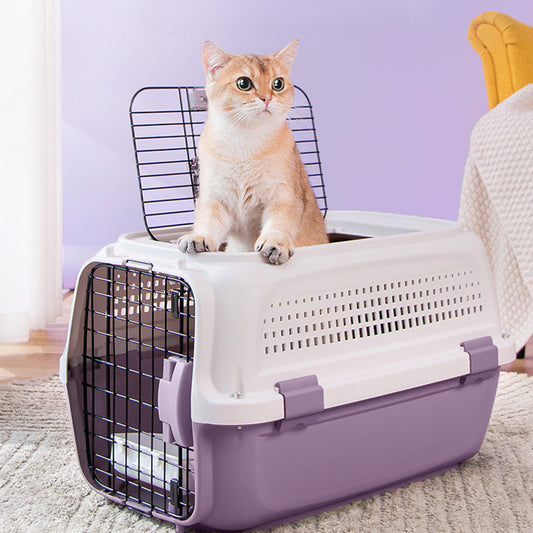 Airline-Approved Cat Carrier With Skylight
