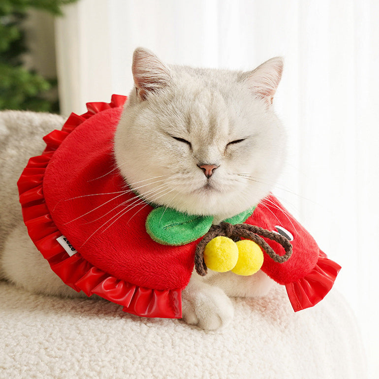 Christmas Apple Cat Collar