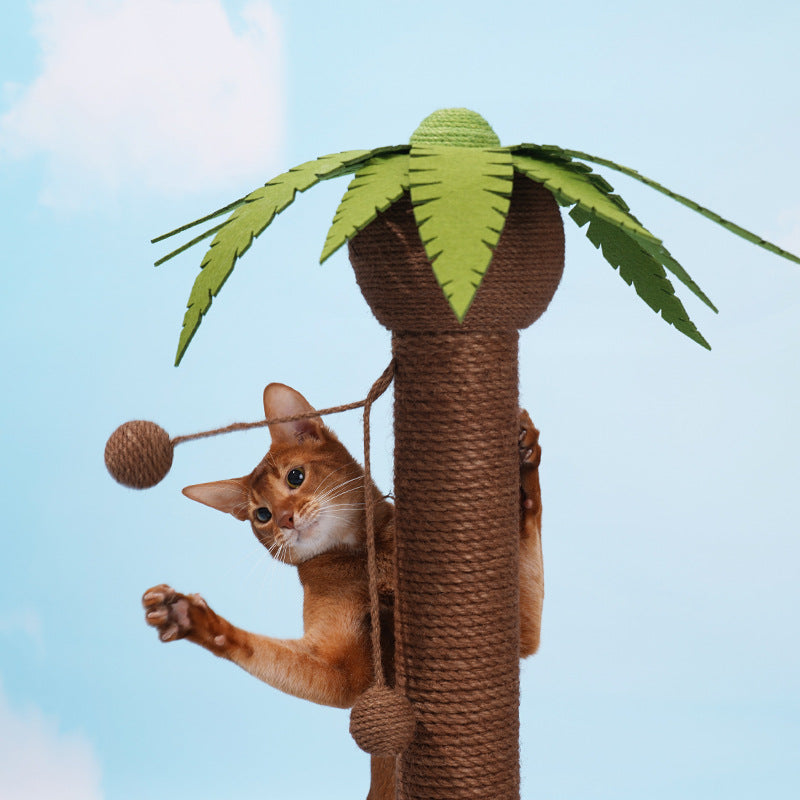 Coconut Cat Scratching Post