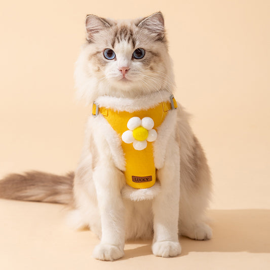 Cute Winter Warm Cat Harness