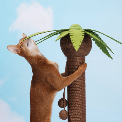 Coconut Cat Scratching Post