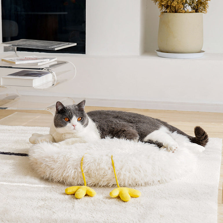 Chick Cluck Cat Mat