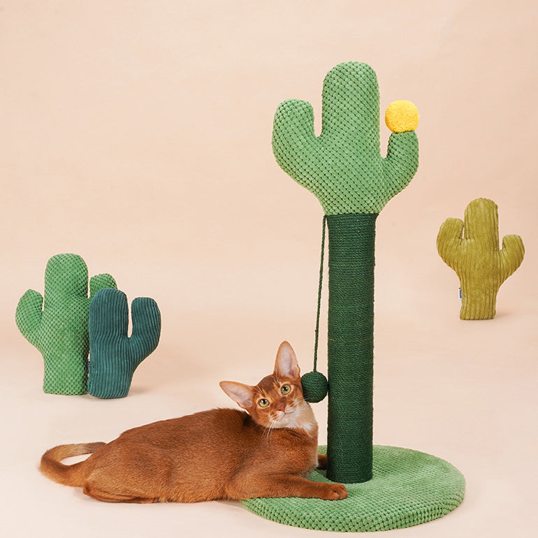 Cactus Cat Scratching Post