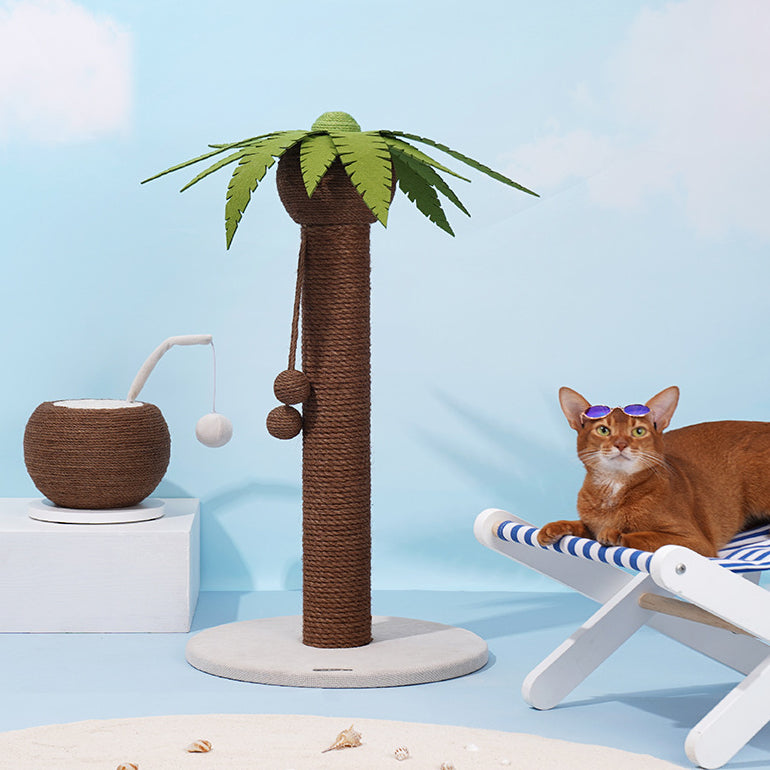 Coconut Cat Scratching Post