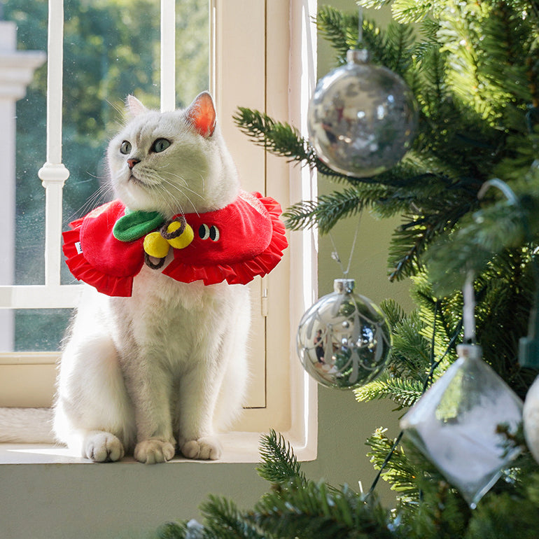 Christmas Apple Cat Collar