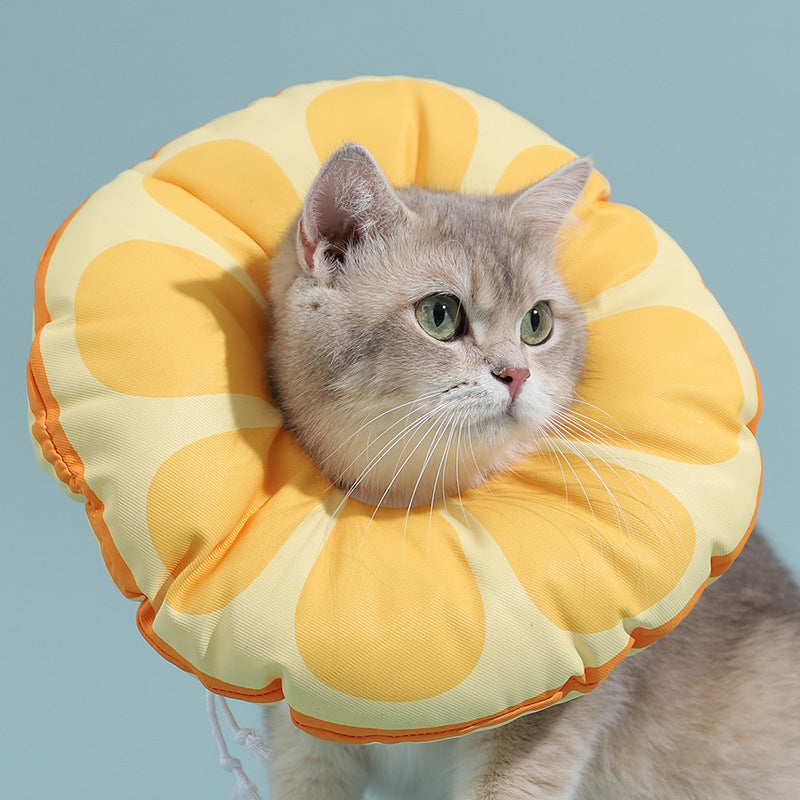 Waterproof Fruits & Food Style Cat Cone