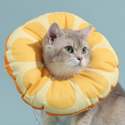 Waterproof Fruits & Food Style Cat Cone