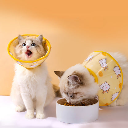 Cute Rabbit & Cute Panda Cat Cone